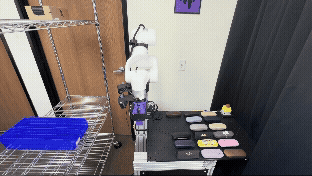 Amplibotics project image 4